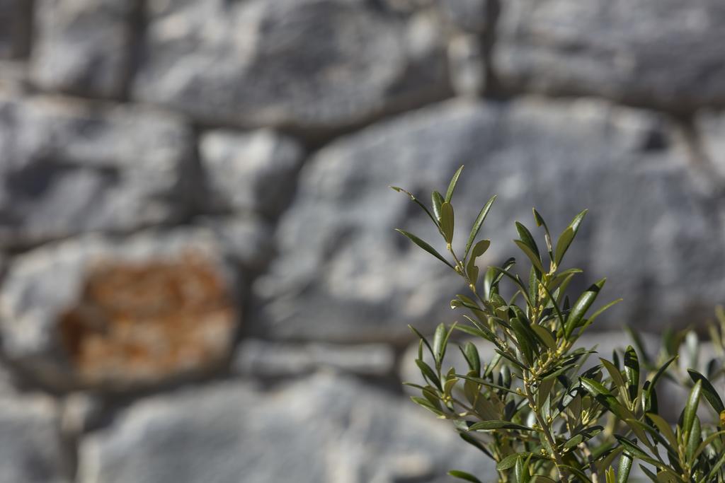 Asanti Villas Neochori  部屋 写真